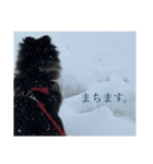 おれ、おれお3（個別スタンプ：12）