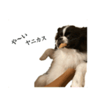 おれ、おれお3（個別スタンプ：15）