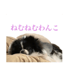 おれ、おれお3（個別スタンプ：16）