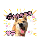 アニマルスマイル香川 Spring 2023（個別スタンプ：5）