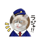 ツキ＆ジェニcat（個別スタンプ：6）