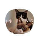 ツキ＆ジェニ（個別スタンプ：4）