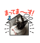 ツキ＆ジェニ（個別スタンプ：5）