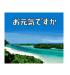 沖縄大好き 2、沖縄行きたい（個別スタンプ：3）