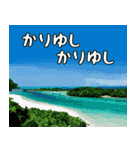 沖縄大好き 2、沖縄行きたい（個別スタンプ：4）
