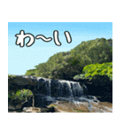 沖縄大好き 2、沖縄行きたい（個別スタンプ：15）