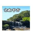 沖縄大好き 2、沖縄行きたい（個別スタンプ：16）