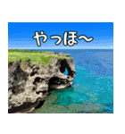 沖縄大好き 2、沖縄行きたい（個別スタンプ：21）