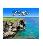 沖縄大好き 2、沖縄行きたい（個別スタンプ：22）