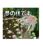 沖縄大好き 2、沖縄行きたい（個別スタンプ：29）