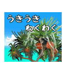 沖縄大好き 2、沖縄行きたい（個別スタンプ：35）