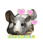 とりねずカフェ（個別スタンプ：6）