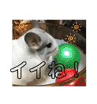 とりねずカフェ（個別スタンプ：12）