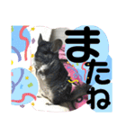 とりねずカフェ（個別スタンプ：13）