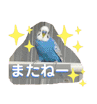 とりねずカフェ（個別スタンプ：14）
