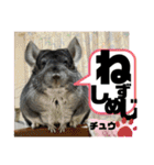 とりねずカフェ（個別スタンプ：18）