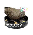 とりねずカフェ（個別スタンプ：22）