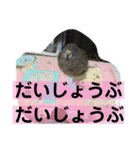 とりねずカフェ（個別スタンプ：23）