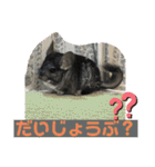 とりねずカフェ（個別スタンプ：24）