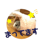 とりねずカフェ（個別スタンプ：27）