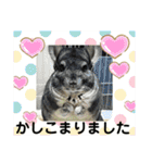とりねずカフェ（個別スタンプ：31）