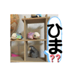 とりねずカフェ（個別スタンプ：33）