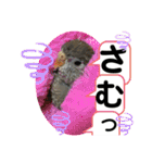 とりねずカフェ（個別スタンプ：36）