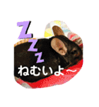 とりねずカフェ（個別スタンプ：38）