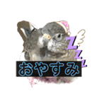 とりねずカフェ（個別スタンプ：39）