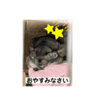 とりねずカフェ（個別スタンプ：40）