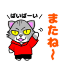 ちょっと目つきの悪い猫3⭐でか文字（個別スタンプ：13）