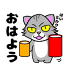 ちょっと目つきの悪い猫3⭐でか文字（個別スタンプ：18）