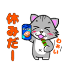 ちょっと目つきの悪い猫3⭐でか文字（個別スタンプ：24）