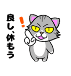 ちょっと目つきの悪い猫3⭐でか文字（個別スタンプ：31）