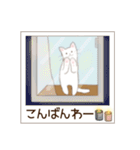 ねこぽら(はる)（個別スタンプ：2）