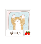 ねこぽら(はる)（個別スタンプ：4）