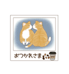 ねこぽら(はる)（個別スタンプ：7）