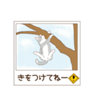 ねこぽら(はる)（個別スタンプ：8）