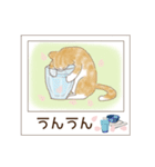 ねこぽら(はる)（個別スタンプ：11）