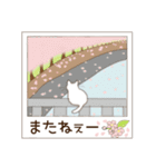 ねこぽら(はる)（個別スタンプ：15）