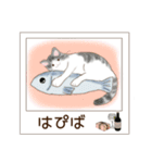 ねこぽら(はる)（個別スタンプ：16）