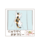 ねこぽら(はる)（個別スタンプ：18）