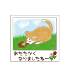 ねこぽら(はる)（個別スタンプ：22）