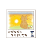 ねこぽら(はる)（個別スタンプ：23）