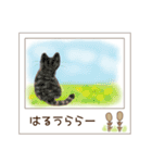 ねこぽら(はる)（個別スタンプ：27）