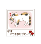 ねこぽら(はる)（個別スタンプ：38）