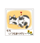 ねこぽら(はる)（個別スタンプ：39）