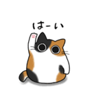 もちゃねこ三毛（個別スタンプ：6）