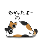 もちゃねこ三毛（個別スタンプ：8）