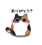 もちゃねこ三毛（個別スタンプ：11）